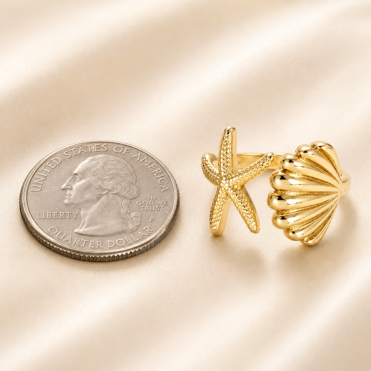 The Coastal Relic Ring
