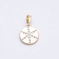 The Lights in the Courtyard — CHARMS-00936