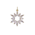 The First Light Bloom