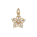 The Open Blossom