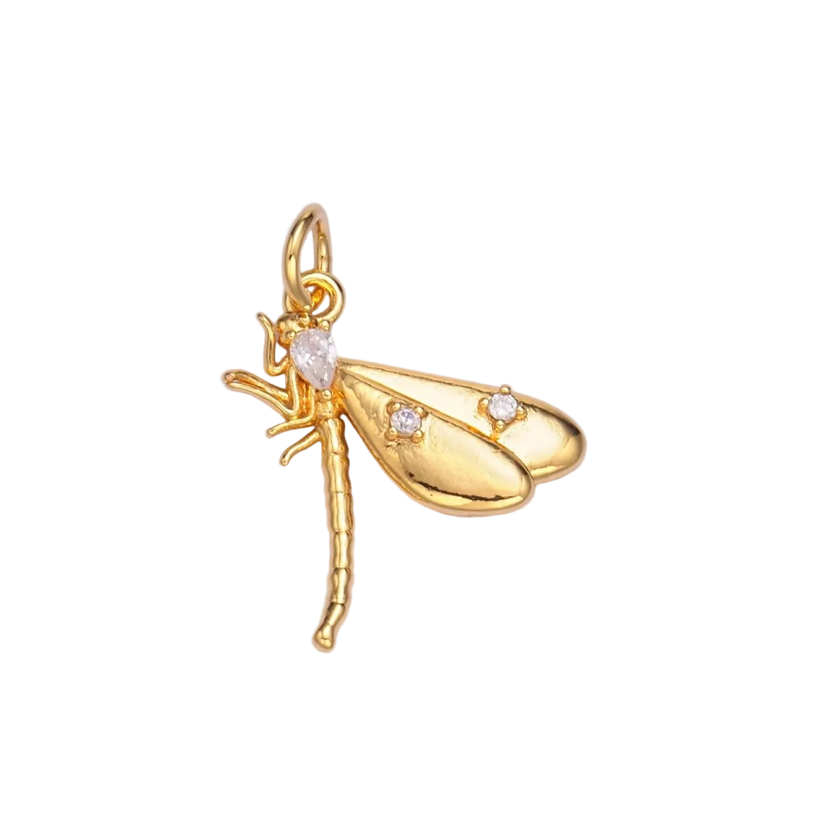 A Dragonfly by the Fountain