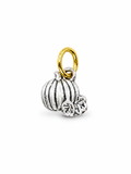 The Little Pumpkin, White