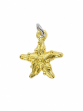 The Little Starwish, Gold