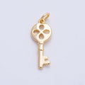 The Key with a Lucky Clover - selected supplier variant AF-01461