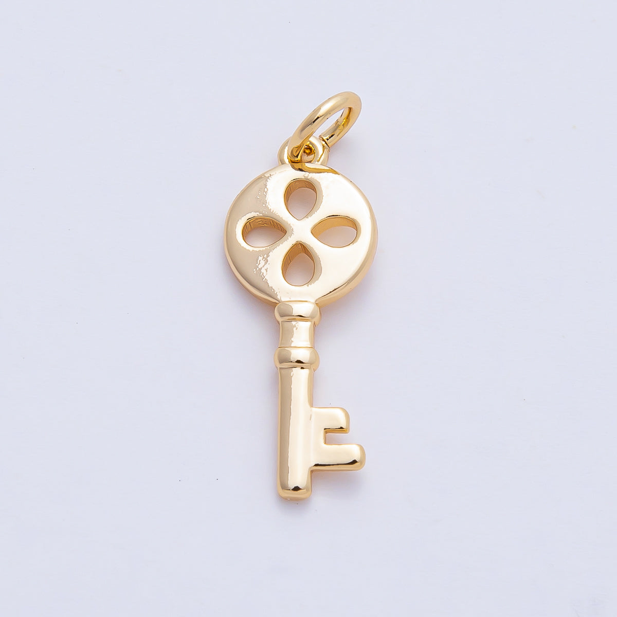 The Key with a Lucky Clover - selected supplier variant AF-01461