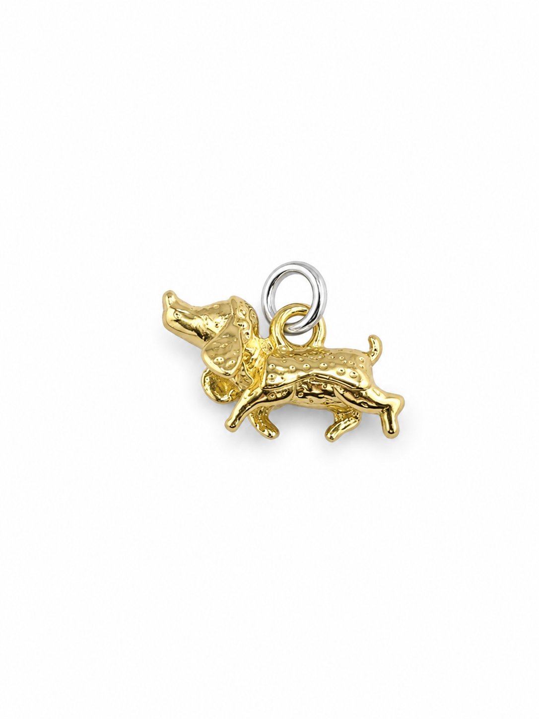 The Little Dachshund, Gold