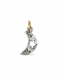 The Crescent Wish, White
