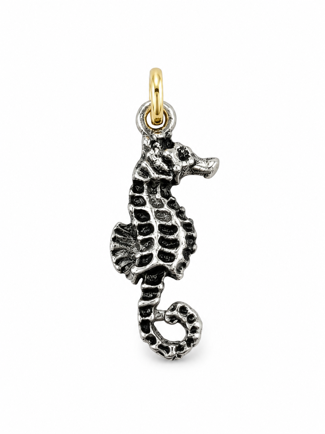 The Little Seahorse, White