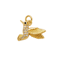 The Enchanted Hummingbird