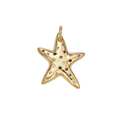 A Wish in Every Color — X-00608 — one golden wish charm with multicolor accents and attached jump ring, transparent background