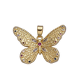 The Butterfly's Painted Wings