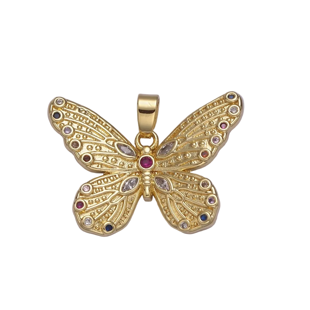 The Butterfly's Painted Wings