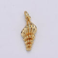 The Shell I Brought Home - selected supplier variant D-00795