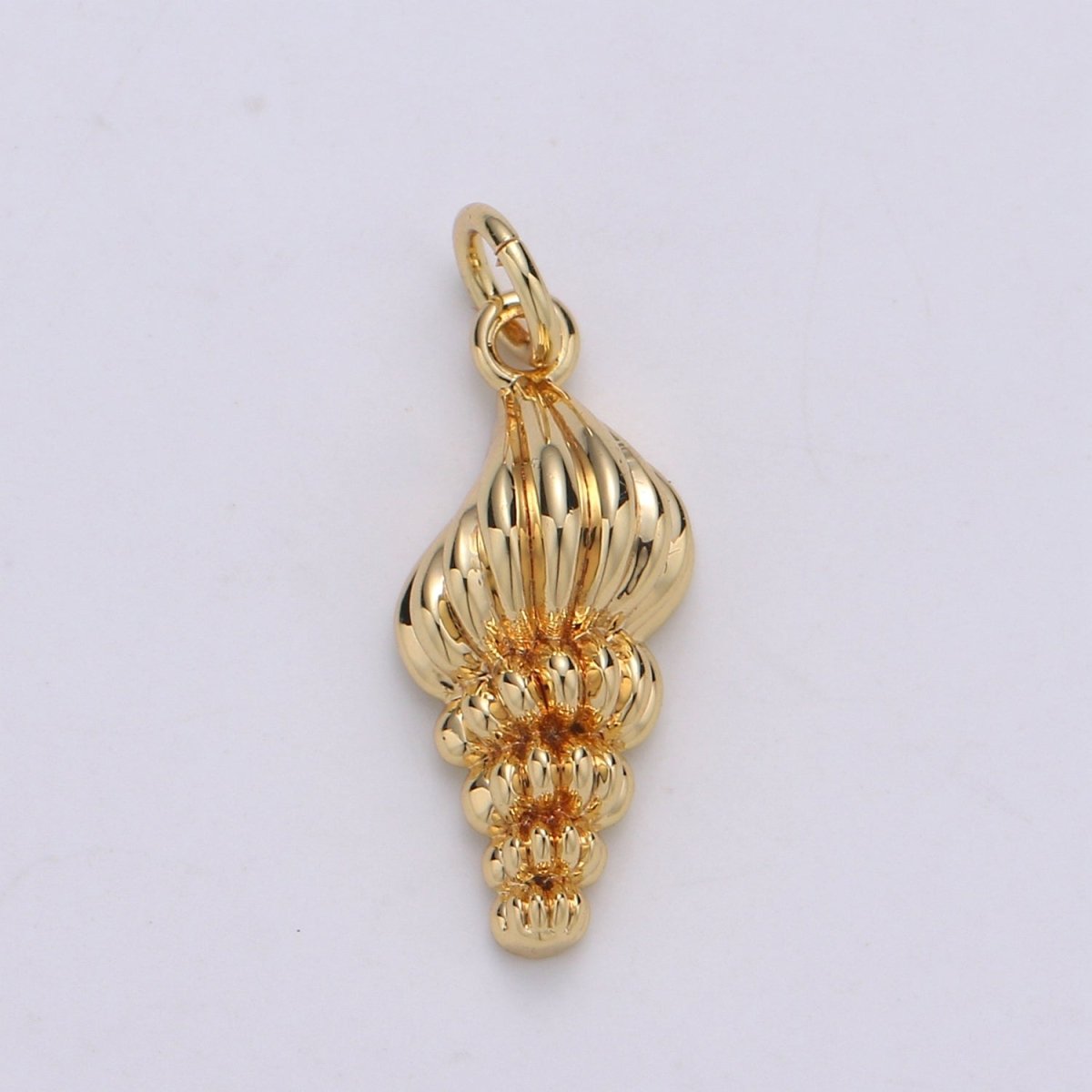 The Shell I Brought Home - selected supplier variant D-00795