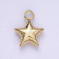 The Star Balloon I Kept - selected supplier variant W-00502-GOLD
