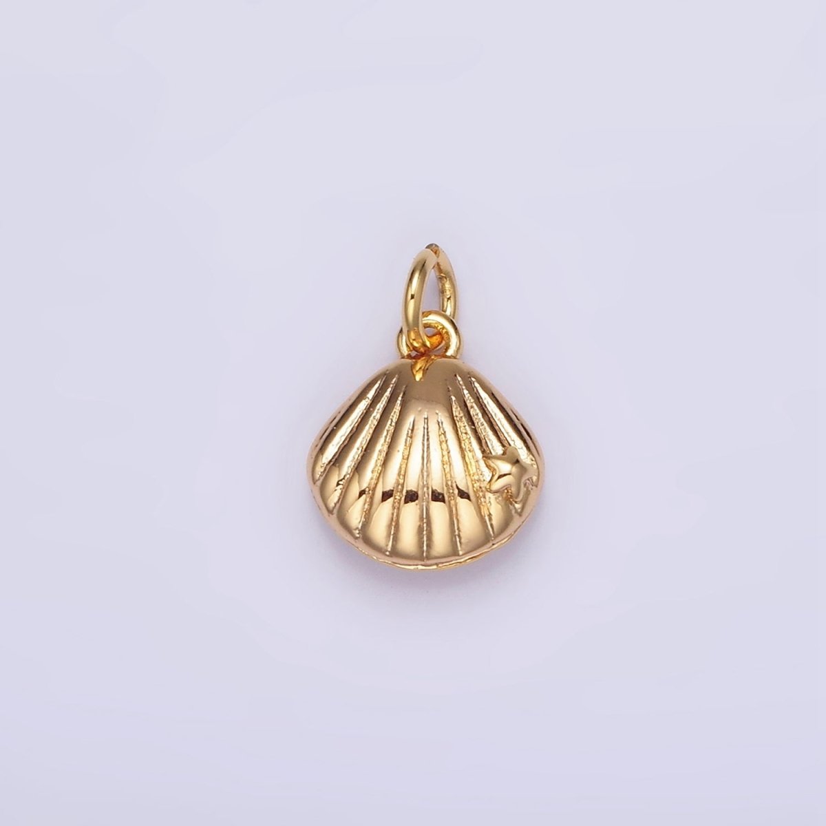 A Shell from a Long Walk - selected supplier variant AG-00012